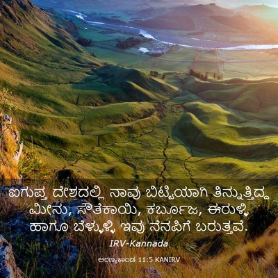 Picture 03 - ಅರಣ್ಯಕಾಂಡ 11:5 KANIRV - ಐಗುಪ್ತ ದೇಶದಲ್ಲಿ - Bible Verse Picture
