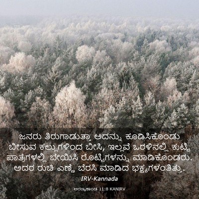 Picture 03 - ಅರಣ್ಯಕಾಂಡ 11:8 KANIRV - ಜನರು ತಿರುಗಾಡುತ್ತಾ - Bible Verse Picture