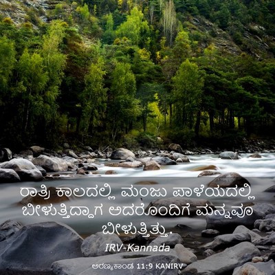 Picture 03 - ಅರಣ್ಯಕಾಂಡ 11:9 KANIRV - ರಾತ್ರಿ ಕಾಲದಲ್ಲಿ - Bible Verse Picture