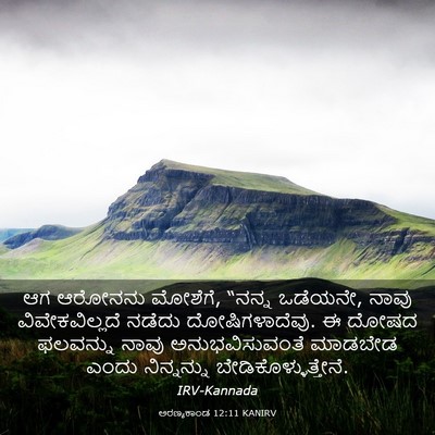 Picture 03 - ಅರಣ್ಯಕಾಂಡ 12:11 KANIRV - ಆಗ ಆರೋನನು ಮೋಶೆಗೆ, - Bible Verse Picture