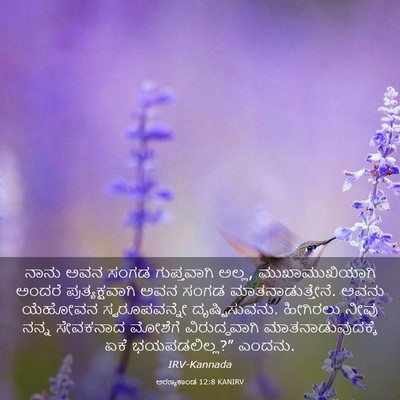 Picture 03 - ಅರಣ್ಯಕಾಂಡ 12:8 KANIRV - ನಾನು ಅವನ ಸಂಗಡ - Bible Verse Picture