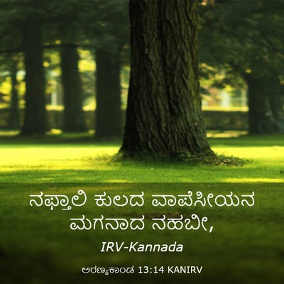 Picture 03 - ಅರಣ್ಯಕಾಂಡ 13:14 KANIRV - ನಫ್ತಾಲಿ ಕುಲದ - Bible Verse Picture