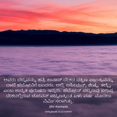 Picture 03 - ಅರಣ್ಯಕಾಂಡ 13:22 KANIRV - ಅವರು ಬೆಟ್ಟವನ್ನು - Bible Verse Picture