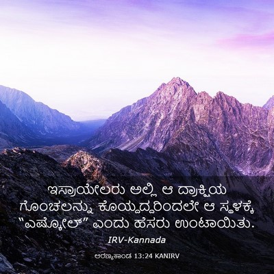 Picture 03 - ಅರಣ್ಯಕಾಂಡ 13:24 KANIRV - ಇಸ್ರಾಯೇಲರು ಅಲ್ಲಿ - Bible Verse Picture