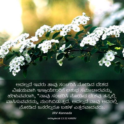 Picture 03 - ಅರಣ್ಯಕಾಂಡ 13:32 KANIRV - ಅದಲ್ಲದೆ ಇವರು ತಾವು - Bible Verse Picture