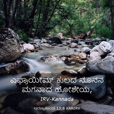 Picture 03 - ಅರಣ್ಯಕಾಂಡ 13:8 KANIRV - ಎಫ್ರಾಯೀಮ್ ಕುಲದ - Bible Verse Picture