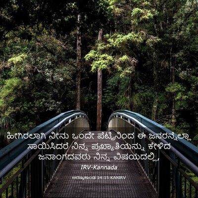 Picture 03 - ಅರಣ್ಯಕಾಂಡ 14:15 KANIRV - ಹೀಗಿರಲಾಗಿ ನೀನು - Bible Verse Picture