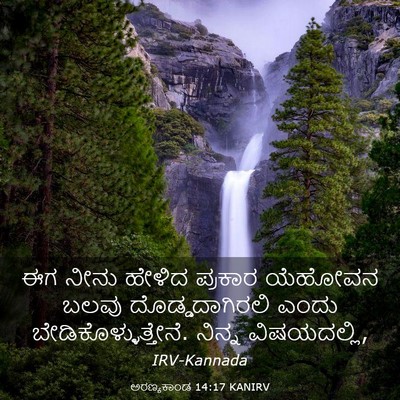 Picture 03 - ಅರಣ್ಯಕಾಂಡ 14:17 KANIRV - ಈಗ ನೀನು ಹೇಳಿದ - Bible Verse Picture