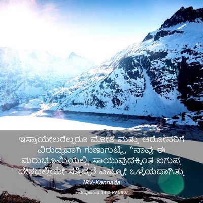 Picture 03 - ಅರಣ್ಯಕಾಂಡ 14:2 KANIRV - ಇಸ್ರಾಯೇಲರೆಲ್ಲರೂ - Bible Verse Picture