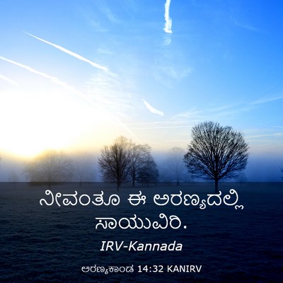 Picture 03 - ಅರಣ್ಯಕಾಂಡ 14:32 KANIRV - ನೀವಂತೂ ಈ - Bible Verse Picture