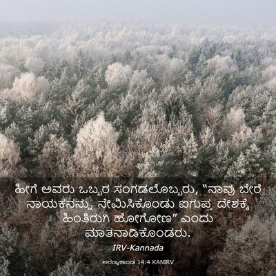 Picture 03 - ಅರಣ್ಯಕಾಂಡ 14:4 KANIRV - ಹೀಗೆ ಅವರು ಒಬ್ಬರ - Bible Verse Picture