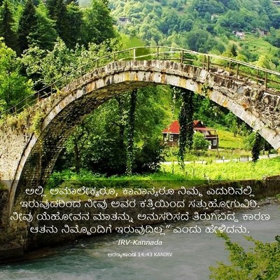 Picture 03 - ಅರಣ್ಯಕಾಂಡ 14:43 KANIRV - ಅಲ್ಲಿ ಅಮಾಲೇಕ್ಯರೂ, - Bible Verse Picture