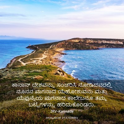 Picture 03 - ಅರಣ್ಯಕಾಂಡ 14:6 KANIRV - ಕಾನಾನ್ ದೇಶವನ್ನು - Bible Verse Picture