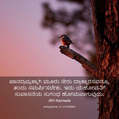 Picture 03 - ಅರಣ್ಯಕಾಂಡ 15:10 KANIRV - ಪಾನದ್ರವ್ಯಕ್ಕಾಗಿ - Bible Verse Picture