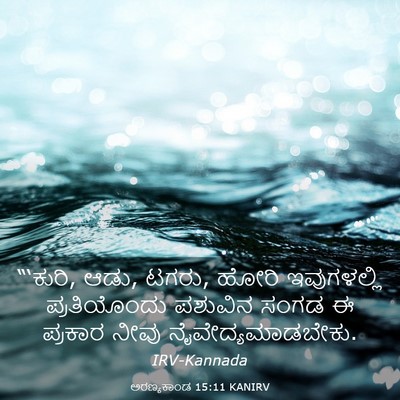 Picture 03 - ಅರಣ್ಯಕಾಂಡ 15:11 KANIRV - “‘ಕುರಿ, ಆಡು, ಟಗರು, - Bible Verse Picture