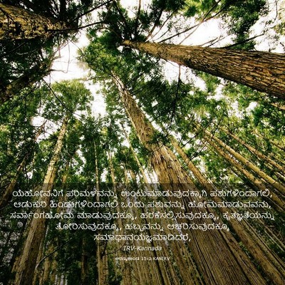 Picture 03 - ಅರಣ್ಯಕಾಂಡ 15:3 KANIRV - ಯೆಹೋವನಿಗೆ - Bible Verse Picture