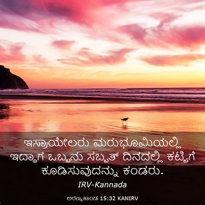 Picture 03 - ಅರಣ್ಯಕಾಂಡ 15:32 KANIRV - ಇಸ್ರಾಯೇಲರು - Bible Verse Picture