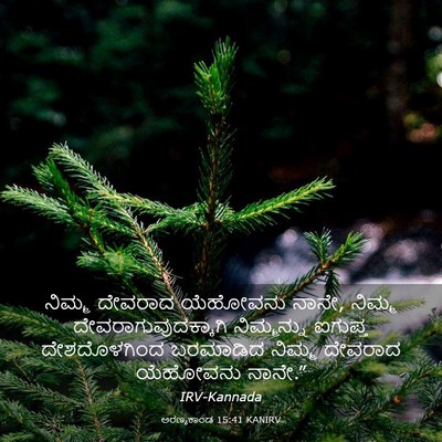 Picture 03 - ಅರಣ್ಯಕಾಂಡ 15:41 KANIRV - ನಿಮ್ಮ ದೇವರಾದ - Bible Verse Picture