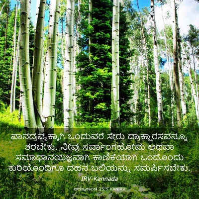 Picture 03 - ಅರಣ್ಯಕಾಂಡ 15:5 KANIRV - ಪಾನದ್ರವ್ಯಕ್ಕಾಗಿ - Bible Verse Picture