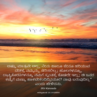 Picture 03 - ಅರಣ್ಯಕಾಂಡ 16:14 KANIRV - ಅಷ್ಟು ಮಾತ್ರವೇ - Bible Verse Picture