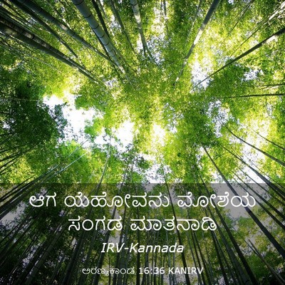 Picture 03 - ಅರಣ್ಯಕಾಂಡ 16:36 KANIRV - ಆಗ ಯೆಹೋವನು ಮೋಶೆಯ - Bible Verse Picture