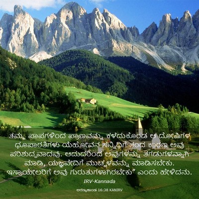 Picture 03 - ಅರಣ್ಯಕಾಂಡ 16:38 KANIRV - ತಮ್ಮ ಪಾಪಗಳಿಂದ - Bible Verse Picture