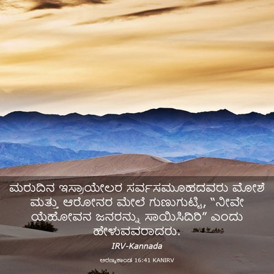 Picture 03 - ಅರಣ್ಯಕಾಂಡ 16:41 KANIRV - ಮರುದಿನ ಇಸ್ರಾಯೇಲರ - Bible Verse Picture