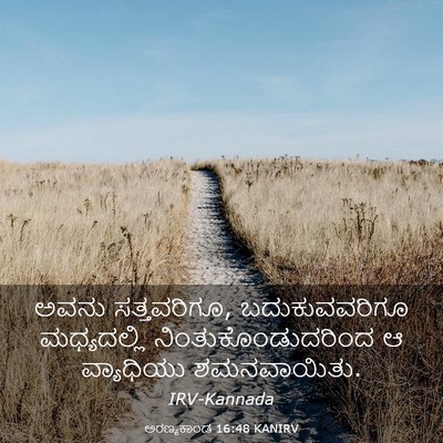 Picture 03 - ಅರಣ್ಯಕಾಂಡ 16:48 KANIRV - ಅವನು ಸತ್ತವರಿಗೂ, - Bible Verse Picture