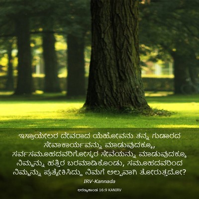 Picture 03 - ಅರಣ್ಯಕಾಂಡ 16:9 KANIRV - ಇಸ್ರಾಯೇಲರ ದೇವರಾದ - Bible Verse Picture