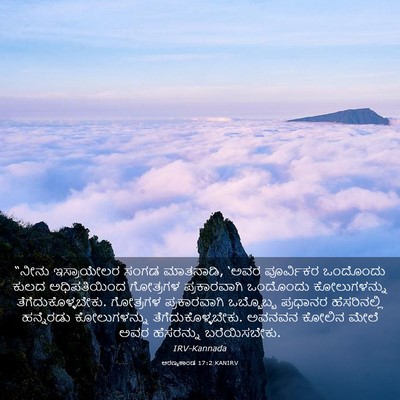 Picture 03 - ಅರಣ್ಯಕಾಂಡ 17:2 KANIRV - “ನೀನು ಇಸ್ರಾಯೇಲರ - Bible Verse Picture