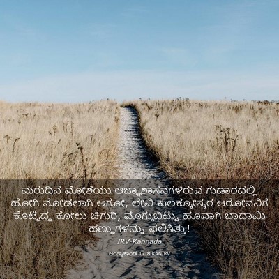 Picture 03 - ಅರಣ್ಯಕಾಂಡ 17:8 KANIRV - ಮರುದಿನ ಮೋಶೆಯು - Bible Verse Picture
