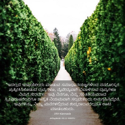 Picture 03 - ಅರಣ್ಯಕಾಂಡ 18:11 KANIRV - “ಇದಲ್ಲದೆ - Bible Verse Picture
