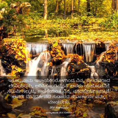 Picture 03 - ಅರಣ್ಯಕಾಂಡ 18:6 KANIRV - ಇಗೋ, ನಾನು - Bible Verse Picture