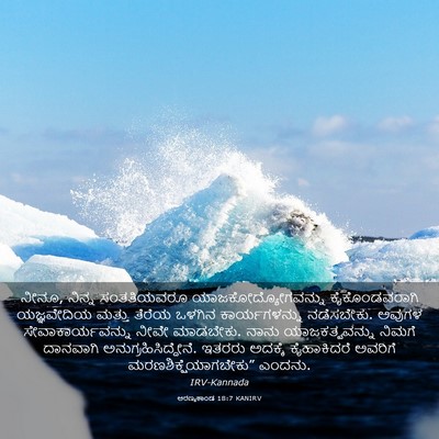 Picture 03 - ಅರಣ್ಯಕಾಂಡ 18:7 KANIRV - ನೀನೂ, ನಿನ್ನ - Bible Verse Picture