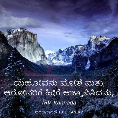 Picture 03 - ಅರಣ್ಯಕಾಂಡ 19:1 KANIRV - ಯೆಹೋವನು ಮೋಶೆ - Bible Verse Picture