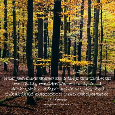 Picture 03 - ಅರಣ್ಯಕಾಂಡ 19:20 KANIRV - ಅಶುದ್ಧನಾಗಿ - Bible Verse Picture