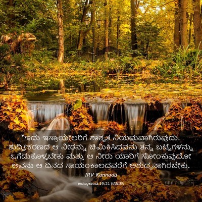 Picture 03 - ಅರಣ್ಯಕಾಂಡ 19:21 KANIRV - “ಇದು ಇಸ್ರಾಯೇಲರಿಗೆ - Bible Verse Picture