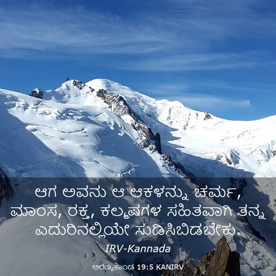 Picture 03 - ಅರಣ್ಯಕಾಂಡ 19:5 KANIRV - ಆಗ ಅವನು ಆ ಆಕಳನ್ನು - Bible Verse Picture