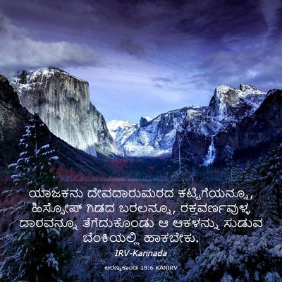 Picture 03 - ಅರಣ್ಯಕಾಂಡ 19:6 KANIRV - ಯಾಜಕನು ದೇವದಾರುಮರದ - Bible Verse Picture