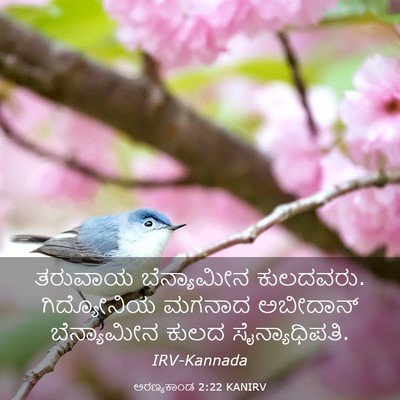 Picture 03 - ಅರಣ್ಯಕಾಂಡ 2:22 KANIRV - ತರುವಾಯ ಬೆನ್ಯಾಮೀನ - Bible Verse Picture