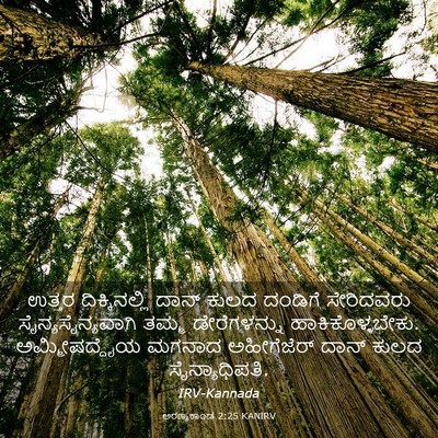 Picture 03 - ಅರಣ್ಯಕಾಂಡ 2:25 KANIRV - ಉತ್ತರ ದಿಕ್ಕಿನಲ್ಲಿ - Bible Verse Picture