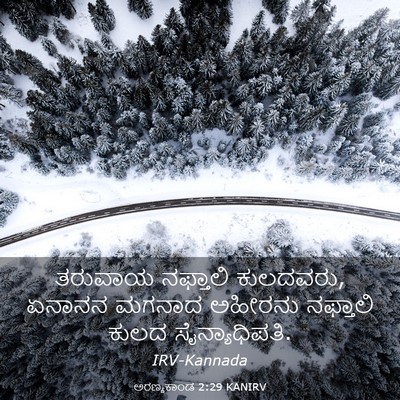 Picture 03 - ಅರಣ್ಯಕಾಂಡ 2:29 KANIRV - ತರುವಾಯ ನಫ್ತಾಲಿ - Bible Verse Picture