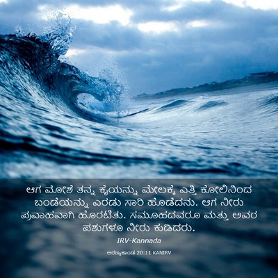Picture 03 - ಅರಣ್ಯಕಾಂಡ 20:11 KANIRV - ಆಗ ಮೋಶೆ ತನ್ನ - Bible Verse Picture