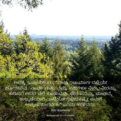 Picture 03 - ಅರಣ್ಯಕಾಂಡ 20:19 KANIRV - ಅದಕ್ಕೆ - Bible Verse Picture