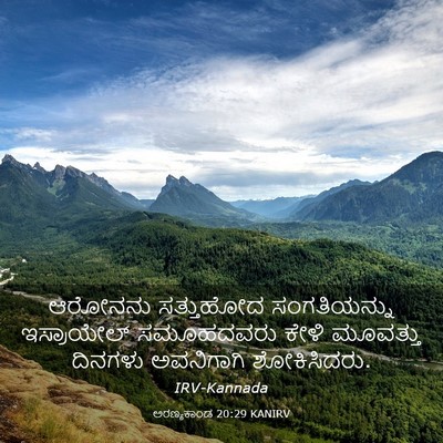 Picture 03 - ಅರಣ್ಯಕಾಂಡ 20:29 KANIRV - ಆರೋನನು ಸತ್ತುಹೋದ - Bible Verse Picture