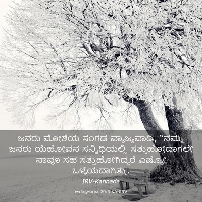 Picture 03 - ಅರಣ್ಯಕಾಂಡ 20:3 KANIRV - ಜನರು ಮೋಶೆಯ ಸಂಗಡ - Bible Verse Picture