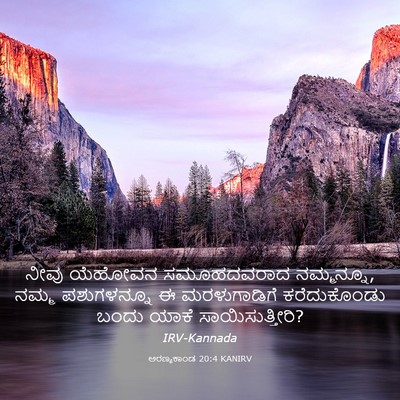Picture 03 - ಅರಣ್ಯಕಾಂಡ 20:4 KANIRV - ನೀವು ಯೆಹೋವನ - Bible Verse Picture