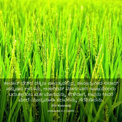 Picture 03 - ಅರಣ್ಯಕಾಂಡ 21:1 KANIRV - ಕಾನಾನ್ ದೇಶದ - Bible Verse Picture