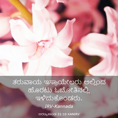 Picture 03 - ಅರಣ್ಯಕಾಂಡ 21:10 KANIRV - ತರುವಾಯ ಇಸ್ರಾಯೇಲರು - Bible Verse Picture