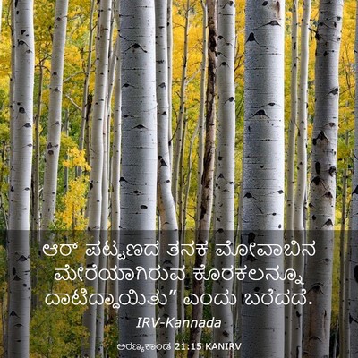Picture 03 - ಅರಣ್ಯಕಾಂಡ 21:15 KANIRV - ಆರ್ ಪಟ್ಟಣದ ತನಕ - Bible Verse Picture